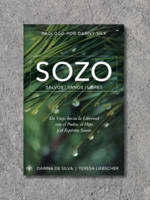 PORTADADAS LIBROS SOZO SOZO Salvos Sanos Libres